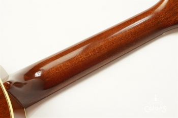 HM-C20 Concert -TR10th Anniversary Model- #361